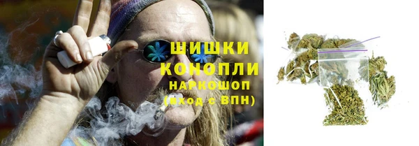 молекула духа Лабытнанги