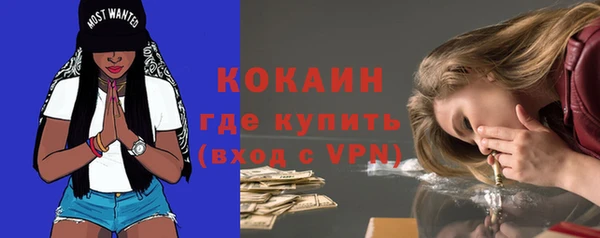 молекула духа Лабытнанги