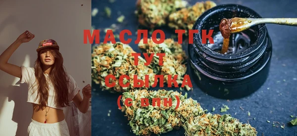 молекула духа Лабытнанги